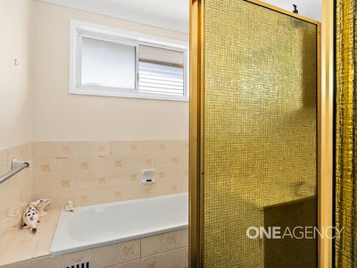 133 Waldegrave Crescent, Vincentia