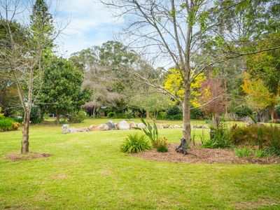 71 COILA CREEK ROAD, Coila