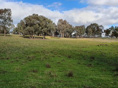 505 Hardings Lane, Tooborac