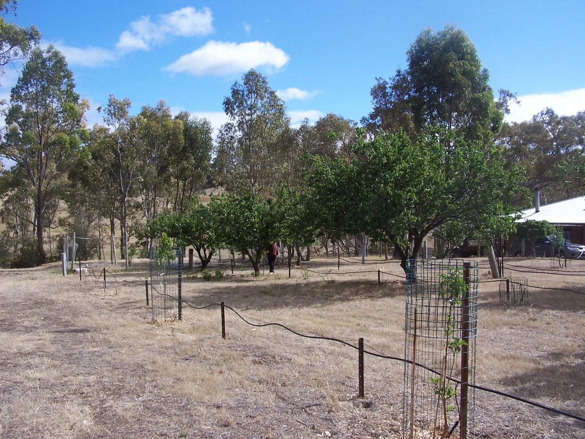 325 Heathcote East Baynton Road, Argyle