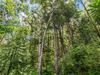 142 Wanganui Road, Wanganui