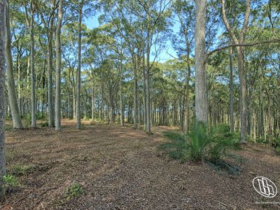 Lot 16, Mystery Bay Road, Mystery Bay