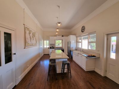 81 WILLIAMS ROAD, Millicent