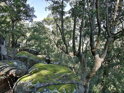 439 Jacks Corner Road, Kangaroo Valley