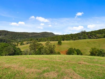 1242 Tuntable Creek Road, Nimbin