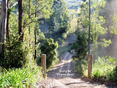 166 Bunyah Road, Nabiac