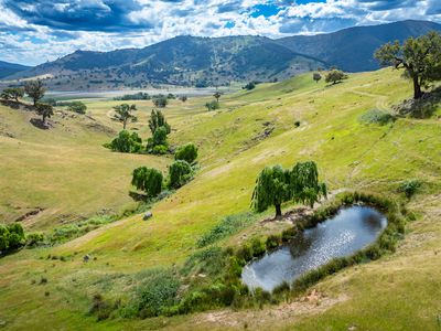 4118 Murray River Road, Thologolong