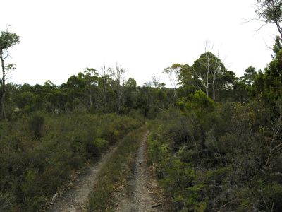 Esperance Coast Road, Surges Bay