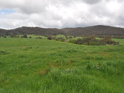 Beechworth-Wodonga Road, Wooragee