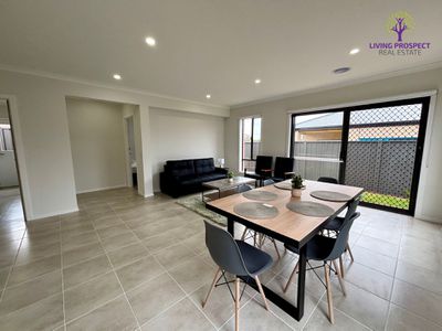 17 Pintail Drive, Melton South