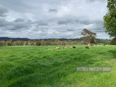 3263 Merton-Euroa Road, Merton