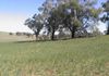 Lot 8 Summer Hill Lane, Orange