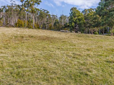 Lot 2, Klynes Road, Lymington