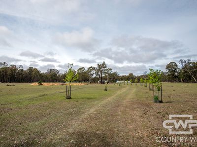 40 Catarrh Creek Road, Torrington