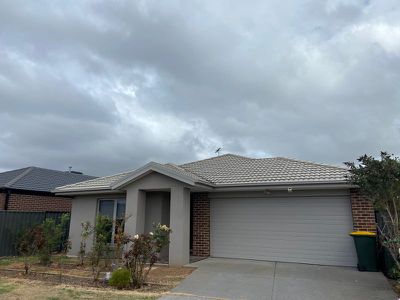 81 Bluebell Drive, Craigieburn