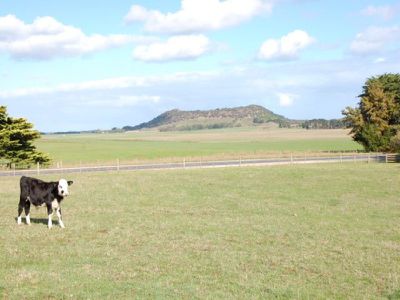 22182 Riddoch Highway, Mount Gambier