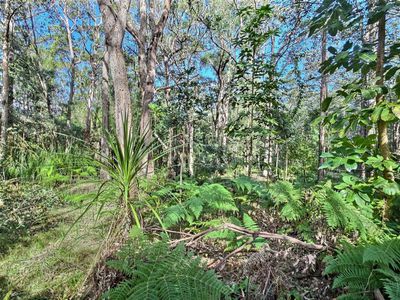 Lot 8, Pelican Road, St Georges Basin