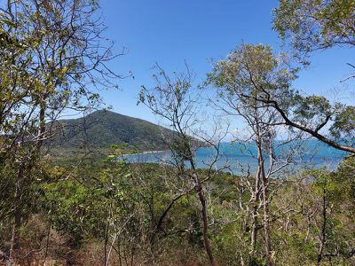 1105 Mount Amos Road, Cooktown