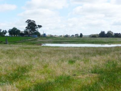 Wahgunyah-Rutherglen Road, Wahgunyah