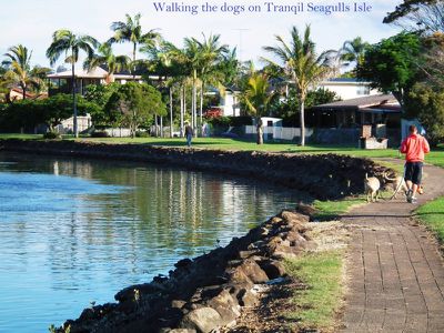 1 / 137 Sunset Boulevarde, Tweed Heads West