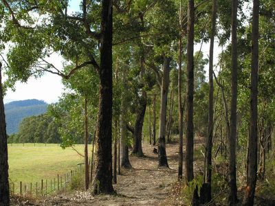 Lot 3 Huon Highway, Surges Bay