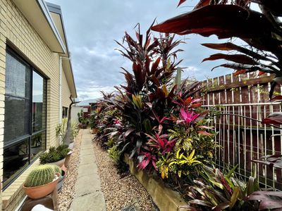 4 Dugong Avenue, Pialba
