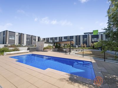 81 / 235 Flemington Road, Franklin