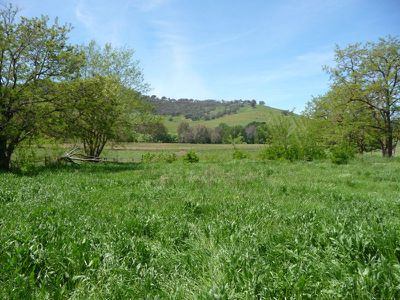 Tallangatta Creek Road, Tallangatta Valley