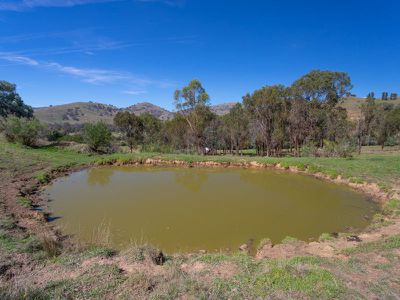 LP 134125 Omeo Highway, Tallangatta