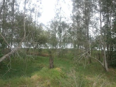 186A Dora Street, Dora Creek