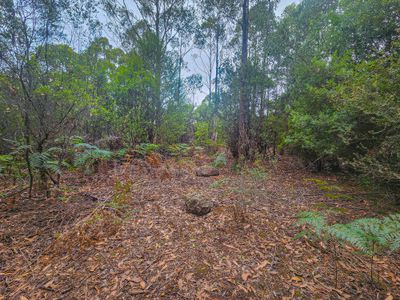 Lot 1, Link Road, Lonnavale