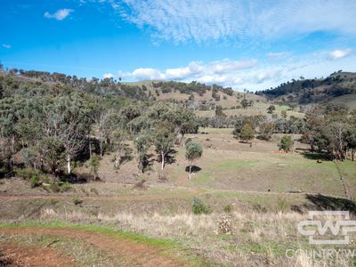 Lot 21 Halls Creek Road, Bendemeer