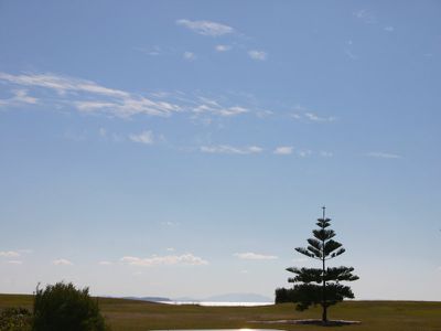 Forster