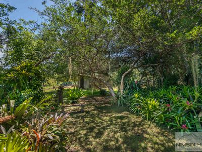 447 Terania Creek Road, Terania Creek