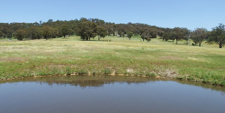 339 Kippings Road, Strathbogie