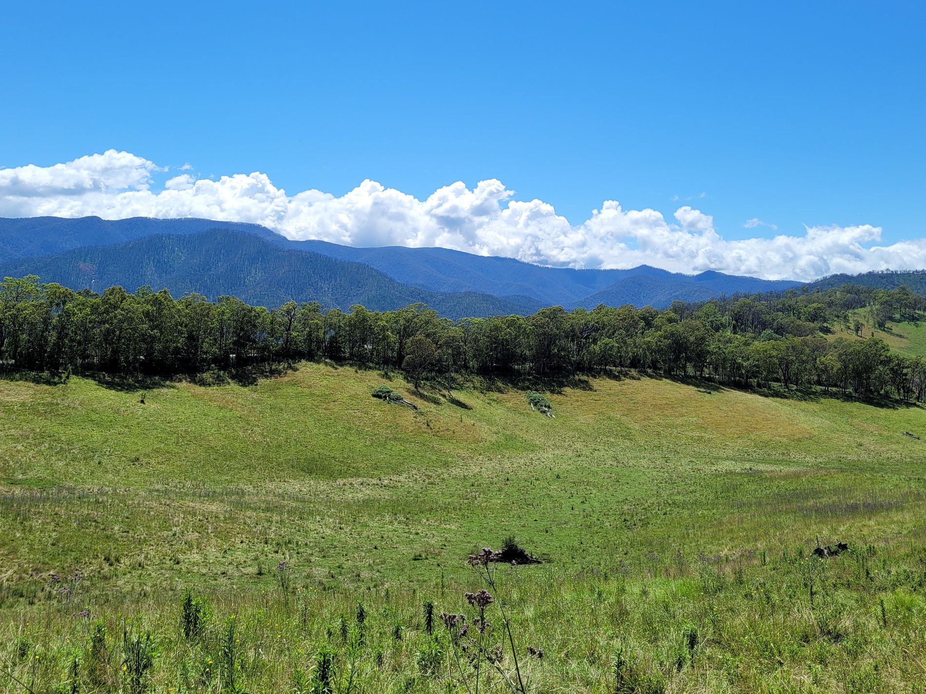 472 Neringla Road, Neringla