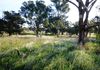* 193 McDonald Rd, Boree Lane, Orange