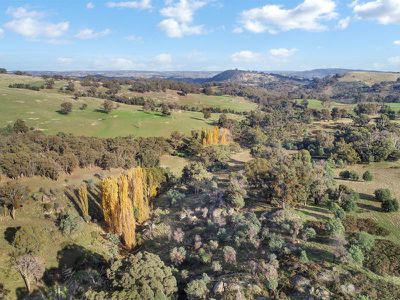 234 Kippings Road, Strathbogie