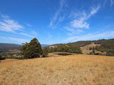 Lot 5 Wallace Road, Cygnet