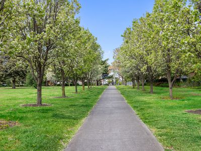 2 / 30 Yardley Street, Maidstone