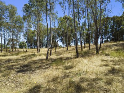 260 HIGHLANDS ROAD, Seymour