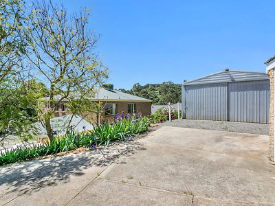 44 Vaucluse Drive, Happy Valley