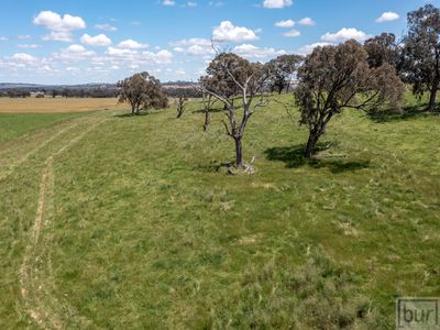 1098 Hovell Road, Moorwatha