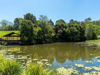 4358 Kyogle Road, Lillian Rock