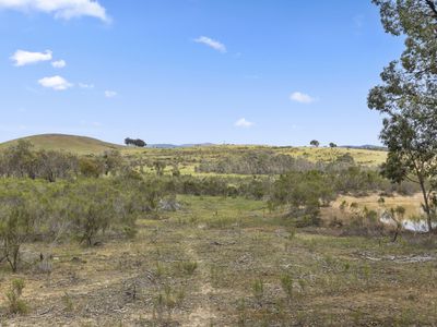 110 Bassett Lane, Hilldene