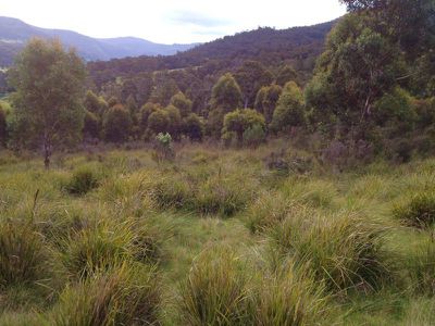 Lot 2 Twin Rivers Lane, Grove