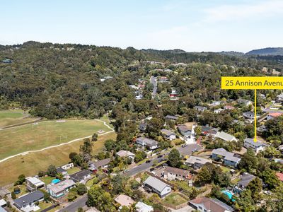 25 Annison Avenue, Glen Eden
