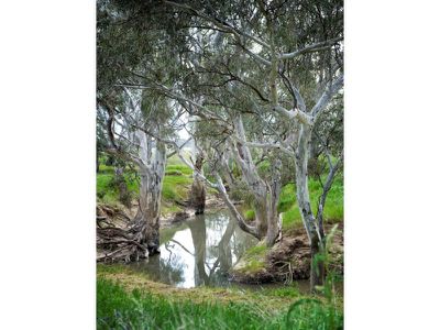 Wodonga