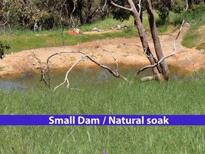 860 Campersic Road, Brigadoon