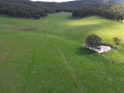 'Eastmore' 1177 Callaghan Creek Road, Mitta Mitta